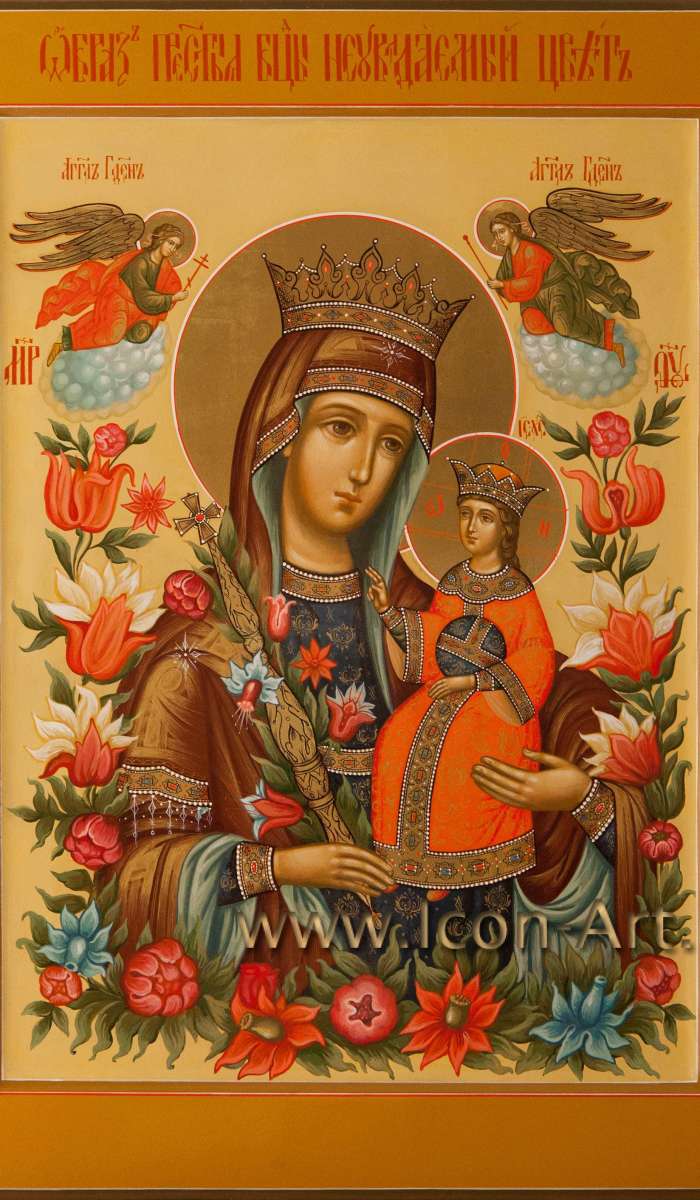 Фото: Пресвятая Богородица «Неувядаемый Цвет»