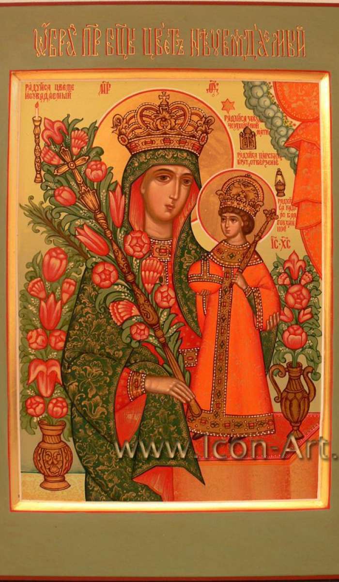 Фото: Икона Пресвятой Богородицы «Неувядаемый Цвет».