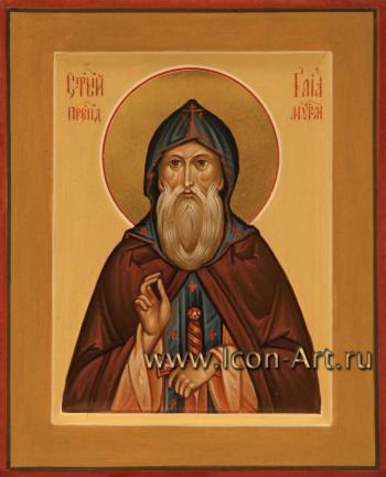 Святой преподобный Илия Муромский