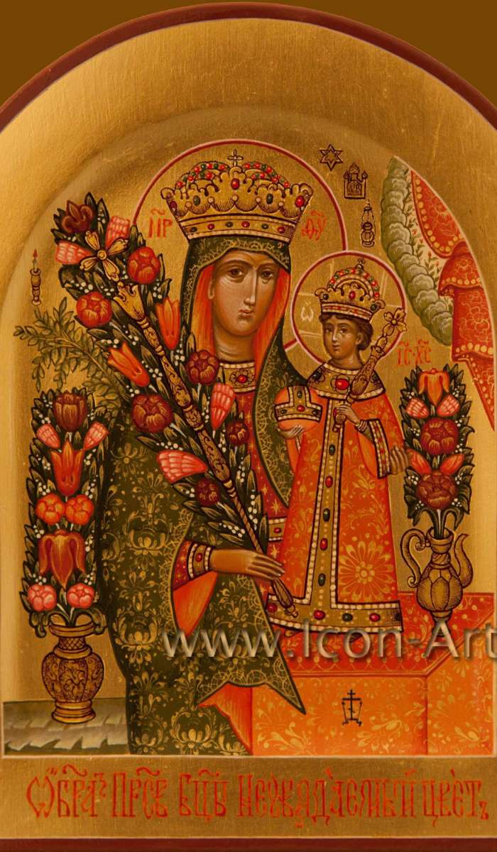Фото: Икона Пресвятой Богородицы «Неувядаемый Цвет»