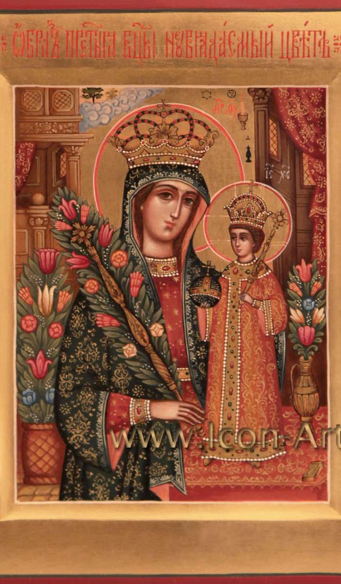 Фото: Образ Пресвятой Богородицы «Неувядаемый цвет»