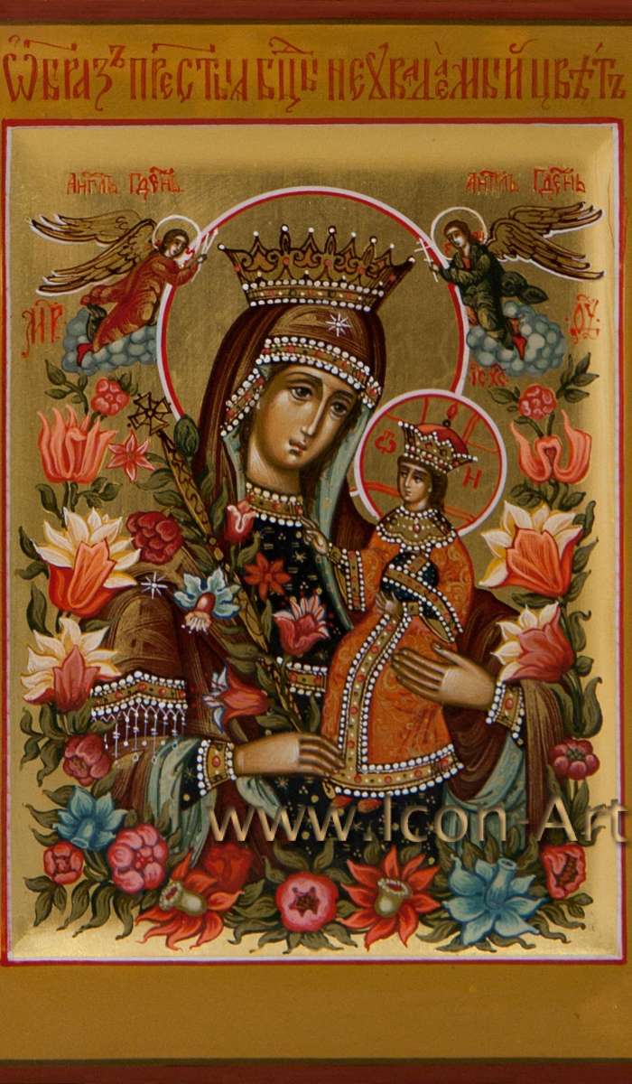 Фото: Икона Божией Матери «Неувядаемый Цвет»