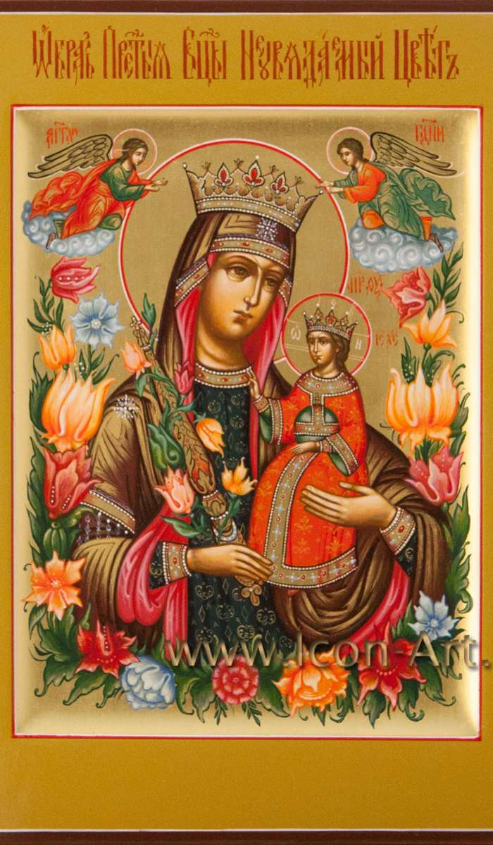 Фото: Пресвятая Богородица «Неувядаемый Цвет»