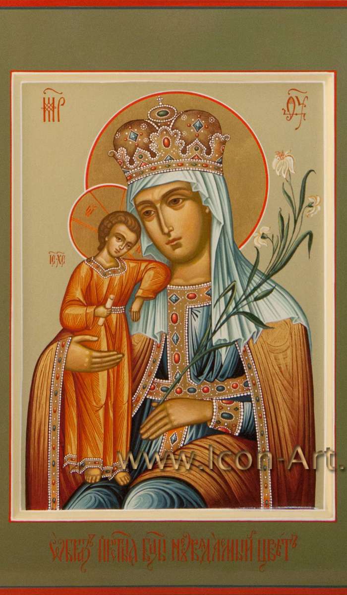 Фото: Пресвятая Богородица «Неувядаемый Цвет»