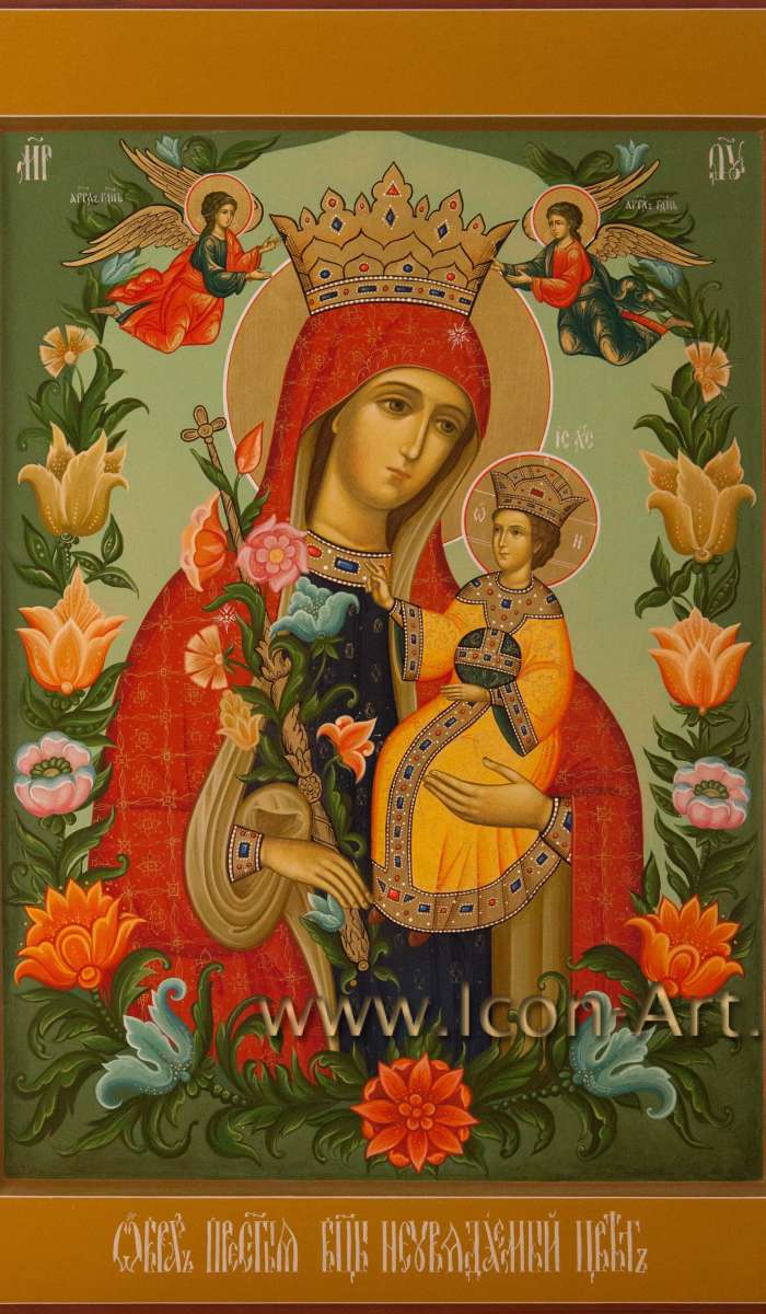 Фото: Пресвятая Богородица «Неувядаемый Цвет»