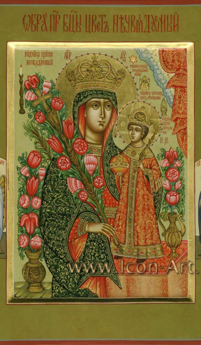 Фото: Образ Пресвятой Богородицы Неувядаемый Цвет.
