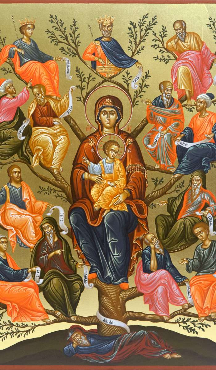 Фото: Древо Иесеево