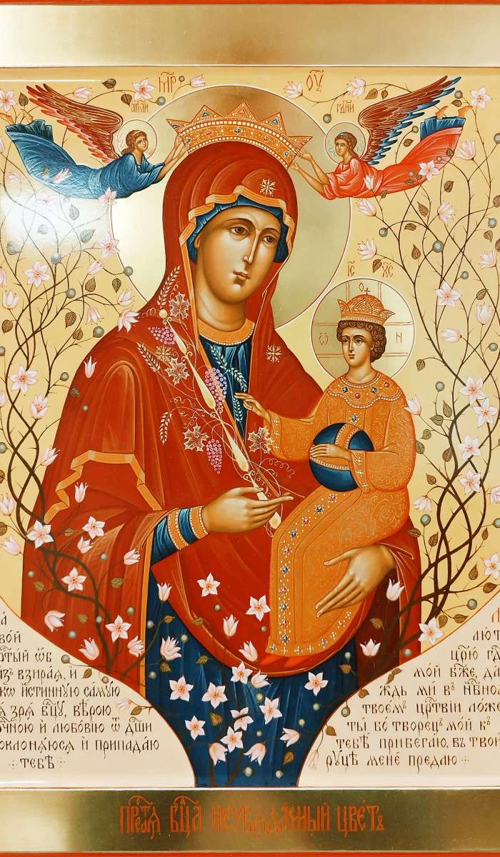 Фото: Пресвятая Богородица  «Неувядаемый Цвет»