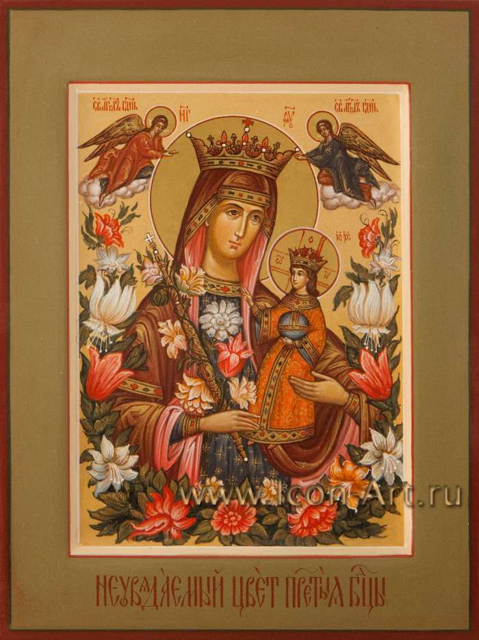 Фото: Пресвятая Богородица «Неувядаемый Цвет»